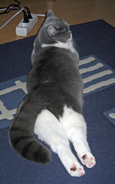 全国青少年轮滑赛道赛速度与技巧并重，青少年轮滑比赛视频