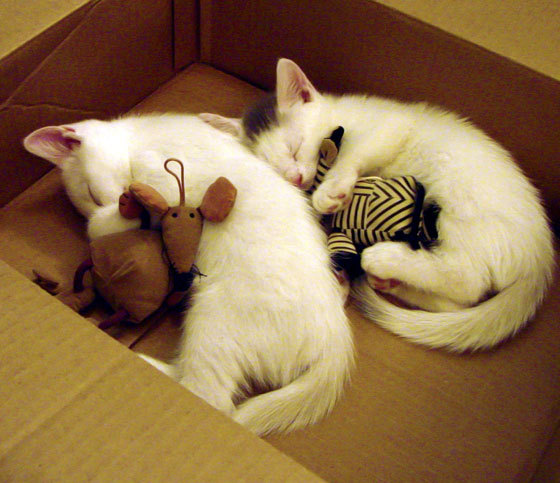 世界足球十大精彩瞬间盘点，回顾辉煌时刻，世界足坛最精彩的比赛